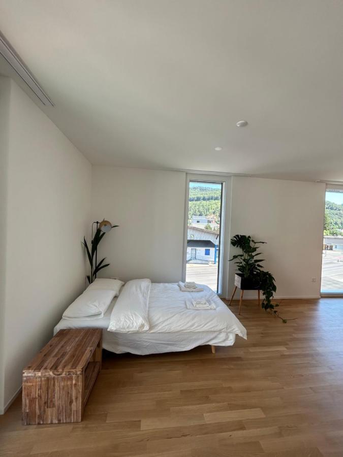 The R Apartment Passwang, Klima, Neu, Balkon, Parking Balsthal Exterior foto