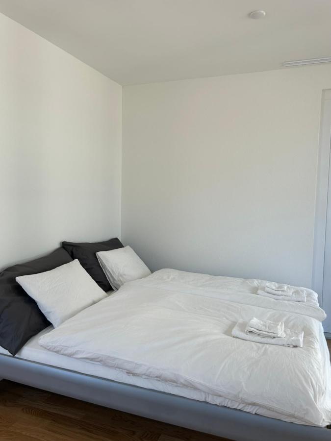 The R Apartment Passwang, Klima, Neu, Balkon, Parking Balsthal Exterior foto